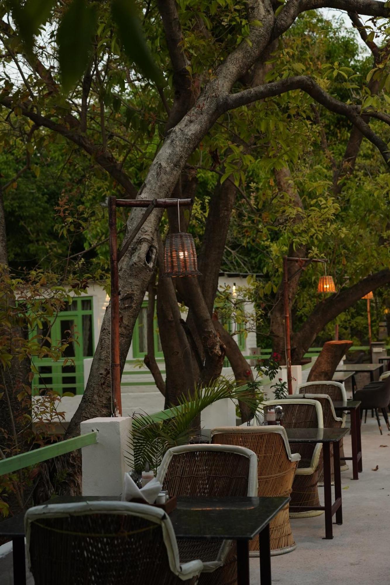 Heli Pushkar Otel Dış mekan fotoğraf
